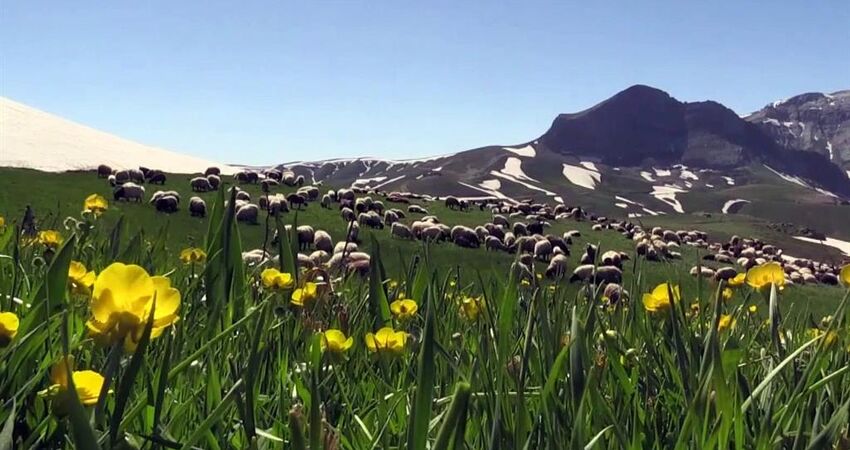 Hakkari, Şırnak, Cizre Turu